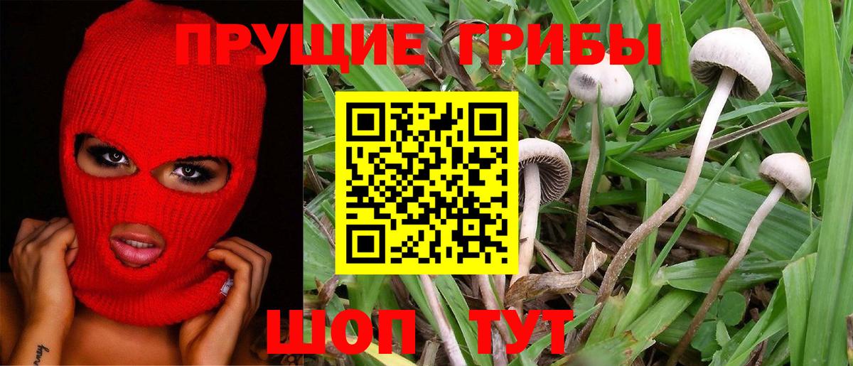 Галлюциногенные грибы Cubensis  Галлюциногенные грибы Magic Shrooms  Вход с VPN  Волжский 